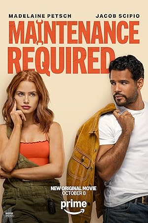 Bakım Gerekli – Maintenance Required (2025)