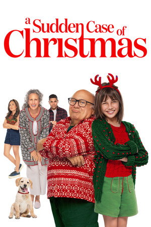 Yaz Ortasında Noel A Sudden Case Of Christmas
