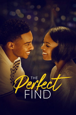 Mükemmel Fikir – The Perfect Find
